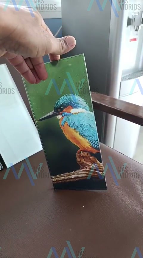 Muestra de vidrio impreso stampa con diseño de martín pescador · MÁS VIDRIOS